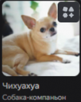 1737899031307.png