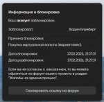 Скриншот 19-05-2025 095520.jpg