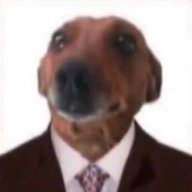 wayinfoo