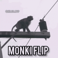 monkeyflipp