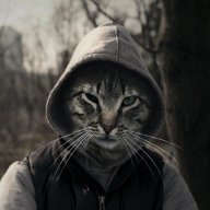 Коля Буйный