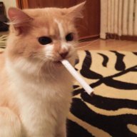 Иван Котов
