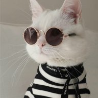 Челик ;3