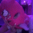 Kirusha_Hellstorm