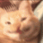 𝓜𝓞𝓥𝓔𝓣𝓞𝓝/