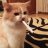 Иван Котов